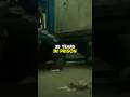Bosco STORYLINE #short #shorts #shortsvideo #shortvideo #movie #story #movie #film #peacock