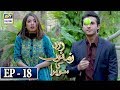 Watch Zard Zamano Ka Sawera Ep 18 - 1st April 2018 - ARY Digital Drama Online In Hd