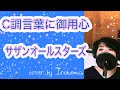 C調言葉に御用心/サザンオールスターズ cover by   Irokoma フル歌詞