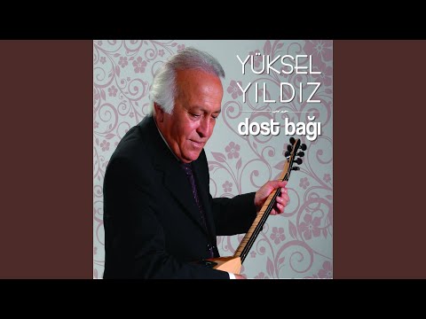 Üzüm Kol Atmış