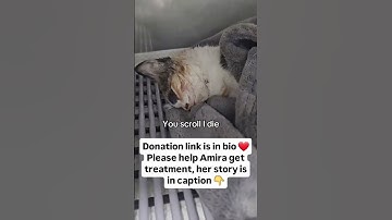 Please consider donating through the link in bio—every dollar truly makes a difference in her life