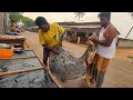 Amazing and rare marble ray fish cutting skills in paradise village fish market sri lanka