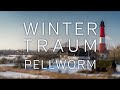 Wintertraum Pellworm – frostige Insellandschaft in Eis und Schnee