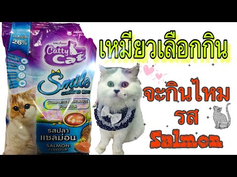 อาหารแมวถูกและดี2019ยี่ห้อ แคทตี้แคท สมาย สำหรับเจ้าเหมียวจอมเลือก #cattycat #ทาสแมว Meow Hana