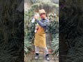 난초 걱정이 멈추지 않는 탓일까??ㅜ.ㅜ