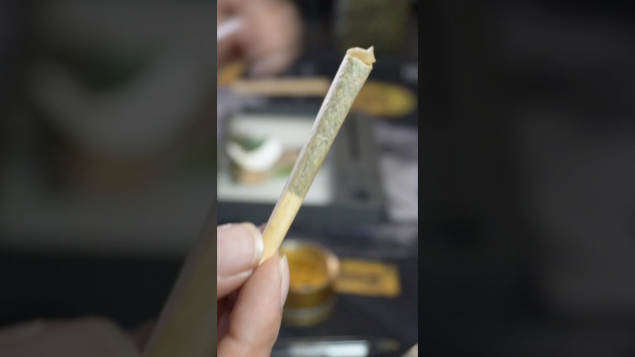 Go watch my new YouTube video 