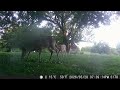 Archive Files of Trail Camera Compilation 20260602 D