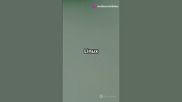 "Nikto Se Website Vulnerability Kaise Check Karein? 🔍💻 | Web Security Tool #Shorts"