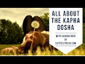 All About the Kapha Ayurvedic Dosha (Mind-Body Type)