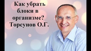 Как убрать  блоки в организме? Торсунов О.Г.