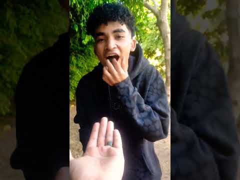 واوو لبان مربيلا