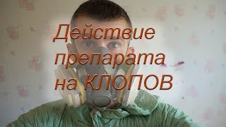 Действие препарата на клопов