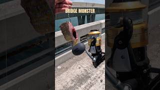 Catching bridge monster#fishing