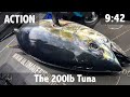 Big Eye Tuna Trailer Boat Catch