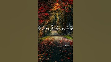 قرآن كريم# ارح قلبك وسمعك# تلاوه خاشعة ومؤثرة# للشيخ فارس باعباد ✨