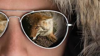 Fur Trim