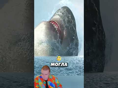 Мегаладон - Акула размером с дом 🤯