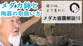 【めだか庭園解説10】様々なメダカ鉢や陶器の取り扱いについて　めだか飼育　めだかの楽しみ方　2020年