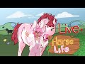 Hunting for a WINGED Bison Horse | Roblox Horse Life | !rules !discord !profile