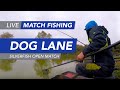 Live Match Fishing: Dog Lane Fishery, Silverfish Open