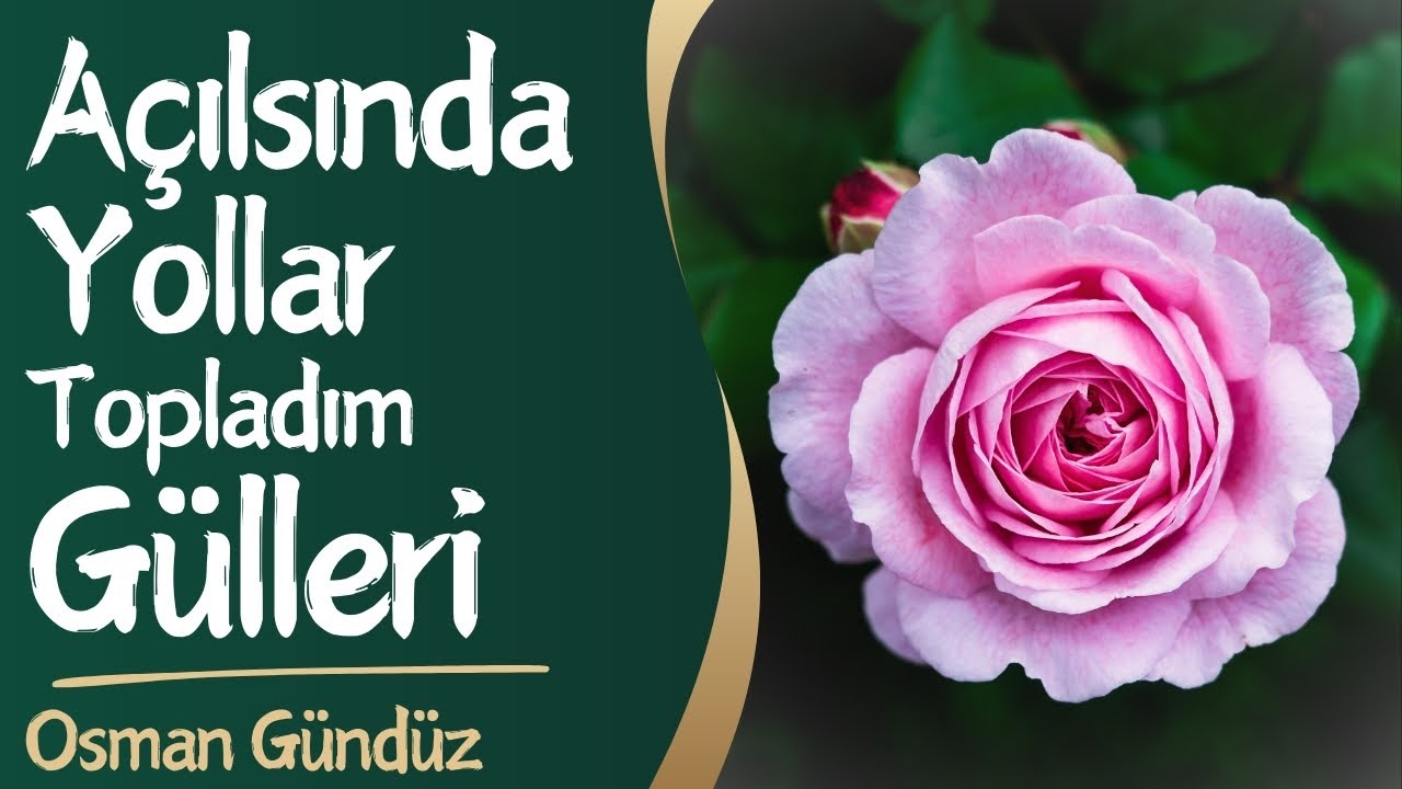 Açılsında Yollar Topladım Gülleri - Osman Gündüz - Müziksiz İlahiler
