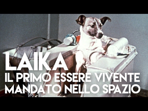 Laika, il primo essere vivente mandato nello spazio - SPACE TV