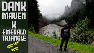 DANK MAVEN ON THE ROAD! We met with 5 craft cannabis farms in the Emerald Triangle!