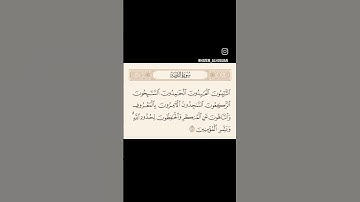 سورة التوبة الأية {16} بصوت القارئ حاتم الحسين بربة . #القرآن_الكريم #قالون_عن_نافع #المصحف