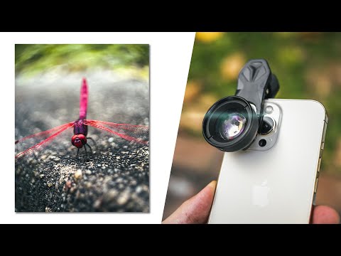 Professional Macro Photography with Apexel 100mm Macro Lens - Best Budget Lens!