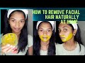 How to remove facial hair naturally at home | SaranyaShankar