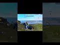 New Horse 🐎 @PRASOL FF #freefire #freefiremax