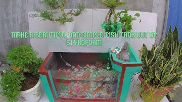 make a beautiful and simple fish tank out of styrofoam làm bể cá bằng thùng xốp đơn giản và đẹp
