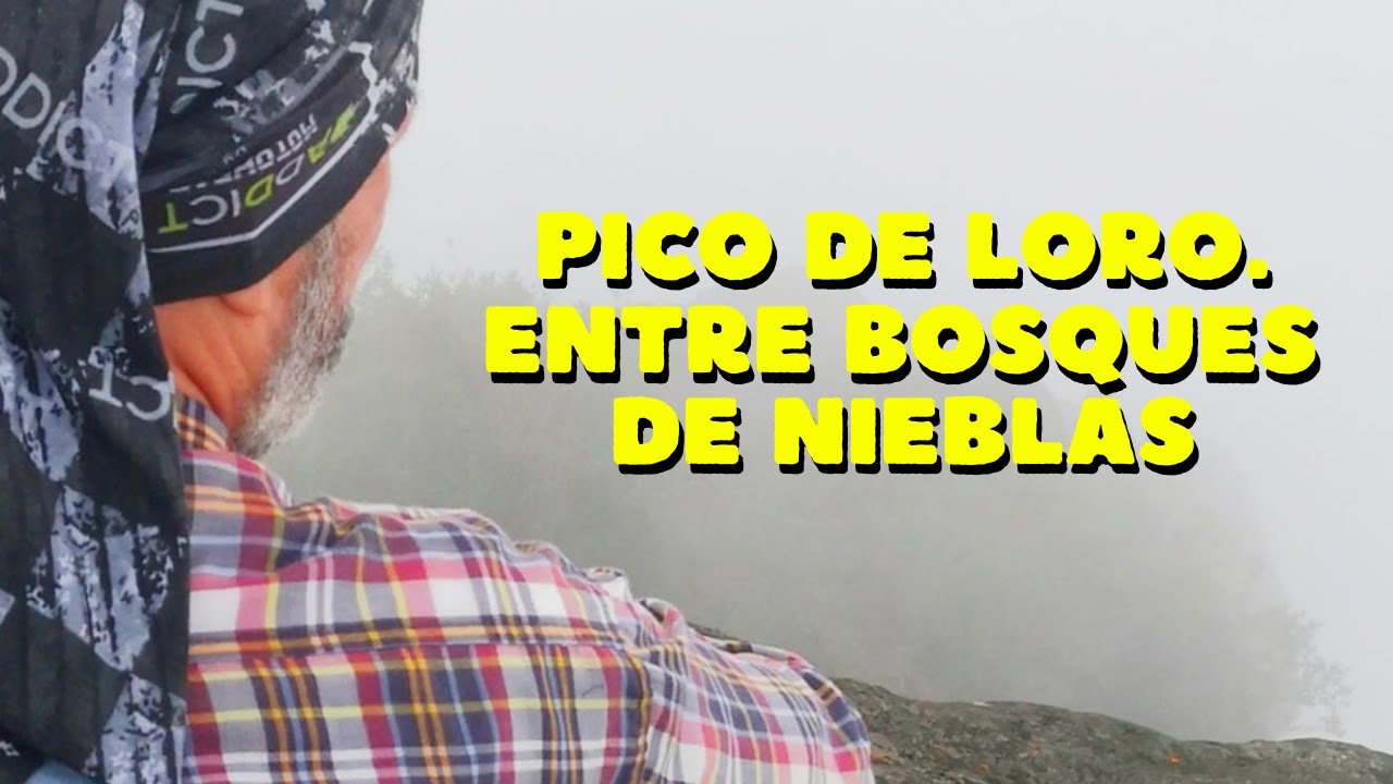 PICO LORO EN  PANCE- MONTAÑAS DE FARALLONES DE CALI COLOMBIA- mirá vé con juan gonzález