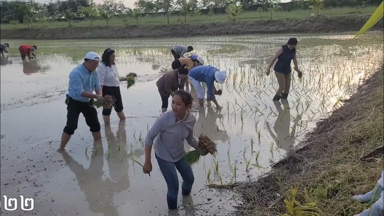 Episode 25 កសិករយើង. Our farmers Chum Kiri district, សូមចុច subscribe