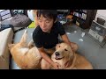 #GoPro からのライブ ストリーミング