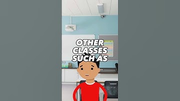 Do I Need 4 Years Of Foreign Language? (CK Advice) #shorts #satprep