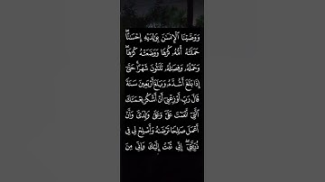 ووصينا الإنسان بوالديه حسنا#سورة_العنكبوت