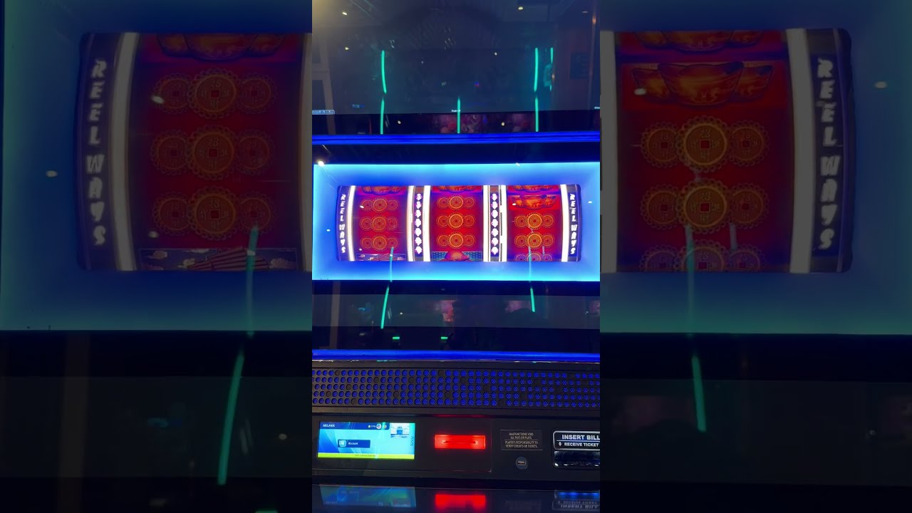 Don't let this happen to you on a cruise #travel #slots #margaritaville