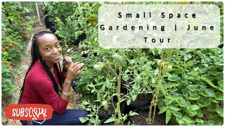 June Garden Tour | Small Space Gardening