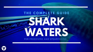 The Complete Guide | How To Avoid A Shark Attack When Spearfishing Or Freediving