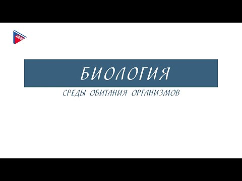 5 класс - Биология - Среды обитания организмов