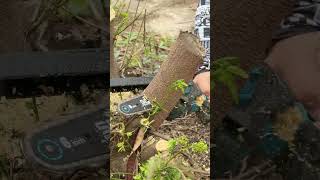 One set for all your yard projects #PrimeDay #gardening #yardwork #polesaw #hedgetrimming #chainsaw
21% OFF on Amazon Prime Day!
More details about our pole saw: https://amzn.to/4ejOOth
#PrimeDay #gardening #gardeningtips #farming #yardwork #chainsaw #HedgeTrimmer #OutdoorGear #SEESII #SEESIIPOWERTOOLS #YESYOUCAN #2915 One set for all your yard projects #PrimeDay #gardening #yardwork #polesaw #hedgetrimming #chainsaw