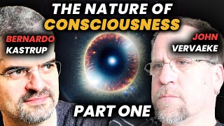 Bernardo Kastrup Λ John Vervaeke on Meta-Consciousness screenshot 4