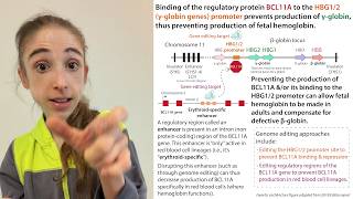 γ-globin activating gene therapy for sickle cell disease, β-thalassemia, & other β-globinopathies
