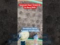Sarımsak nasıl yetiştirilir ve nasıl ekilir #sarımsak #bahçe #garden