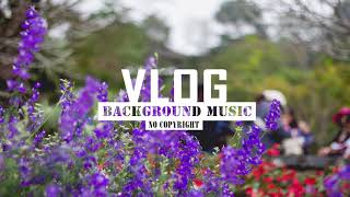 LiQWYD - Chill (Vlog Background Music) [Free To Use Music]