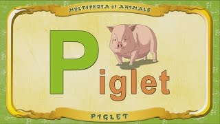 Multipedia Of Animals. Letter P - Piglet