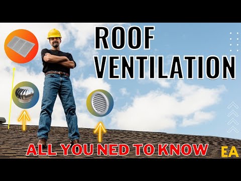 Why you NEED roof