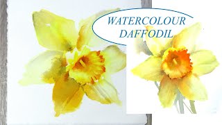 Exclusive Easy Watercolour Daffodils without a sketch Details