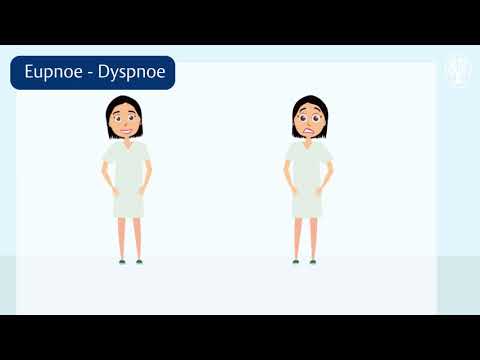 Video: Sind Dyspnoe und Apnoe dasselbe?
